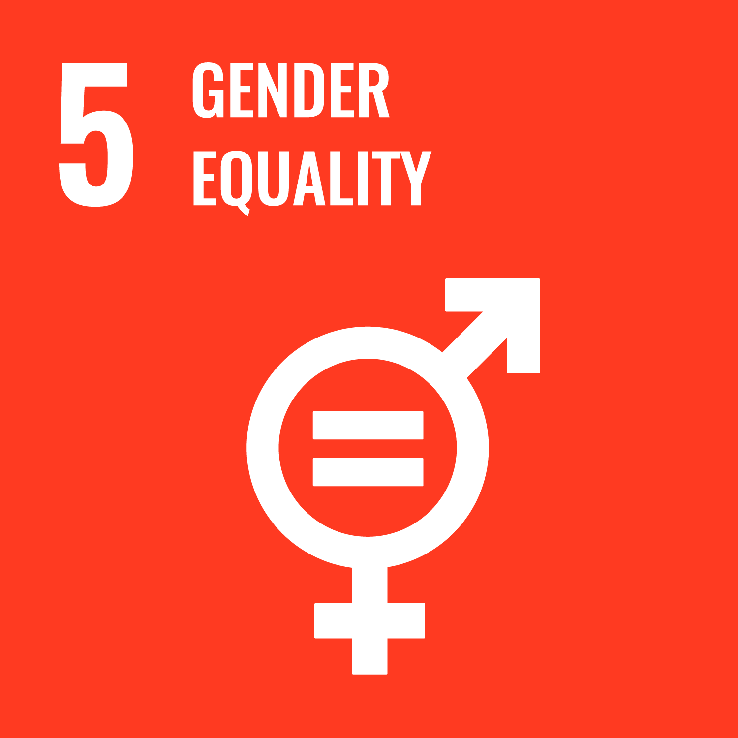 sdg-icon