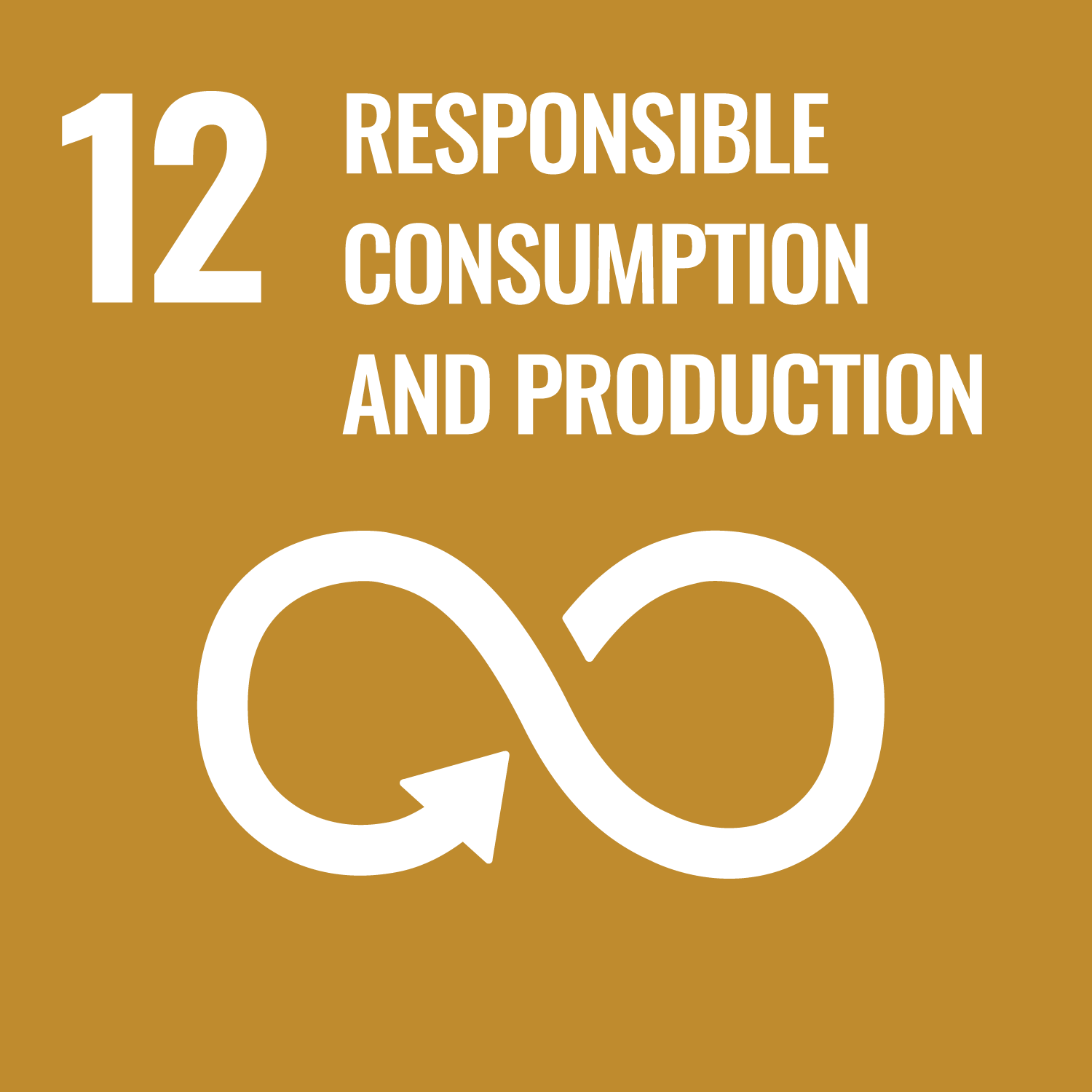 sdg-icon