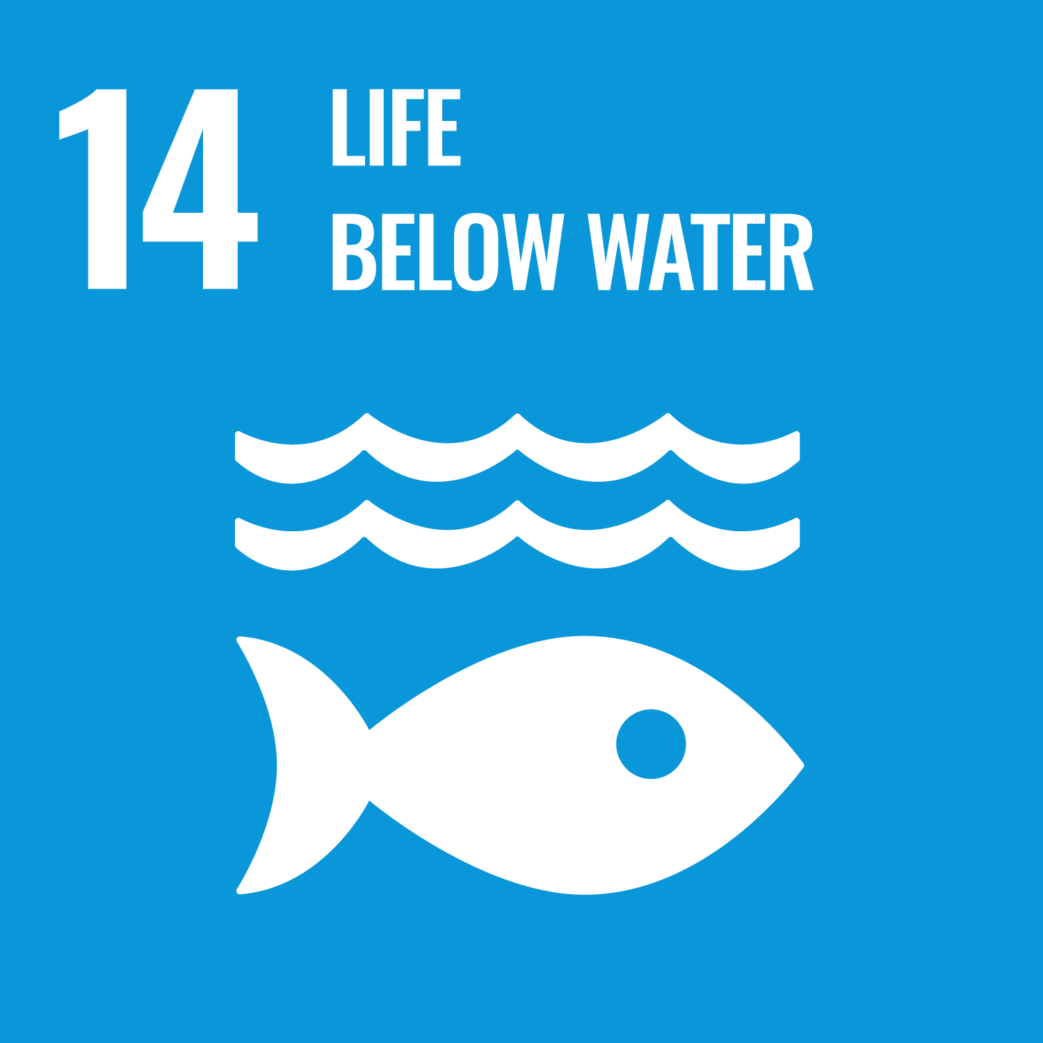 sdg-icon