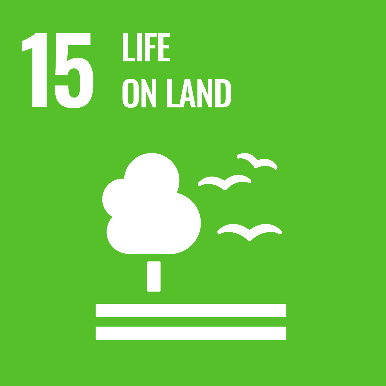 sdg-icon